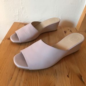 Lavender Everlane “The Wedge”